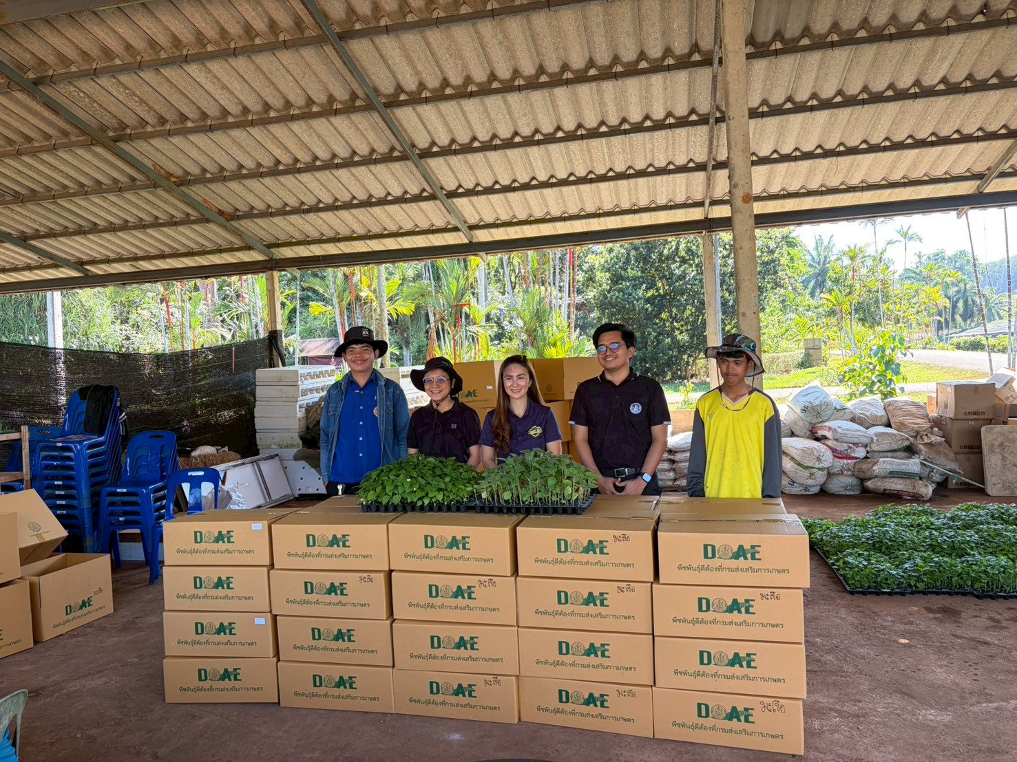 ศสพ.กระบี่ สนับสนุนพืชเศรษฐกิจอายุสั้น ในโครงการผลิตพืชพันธุ์ดีเพื่อช่วยเหลือเกษตรกรผู้ประสบภัยพิบัติ และใช้ในภารกิจกรมส่งเสริมเกษตร ปี 2568