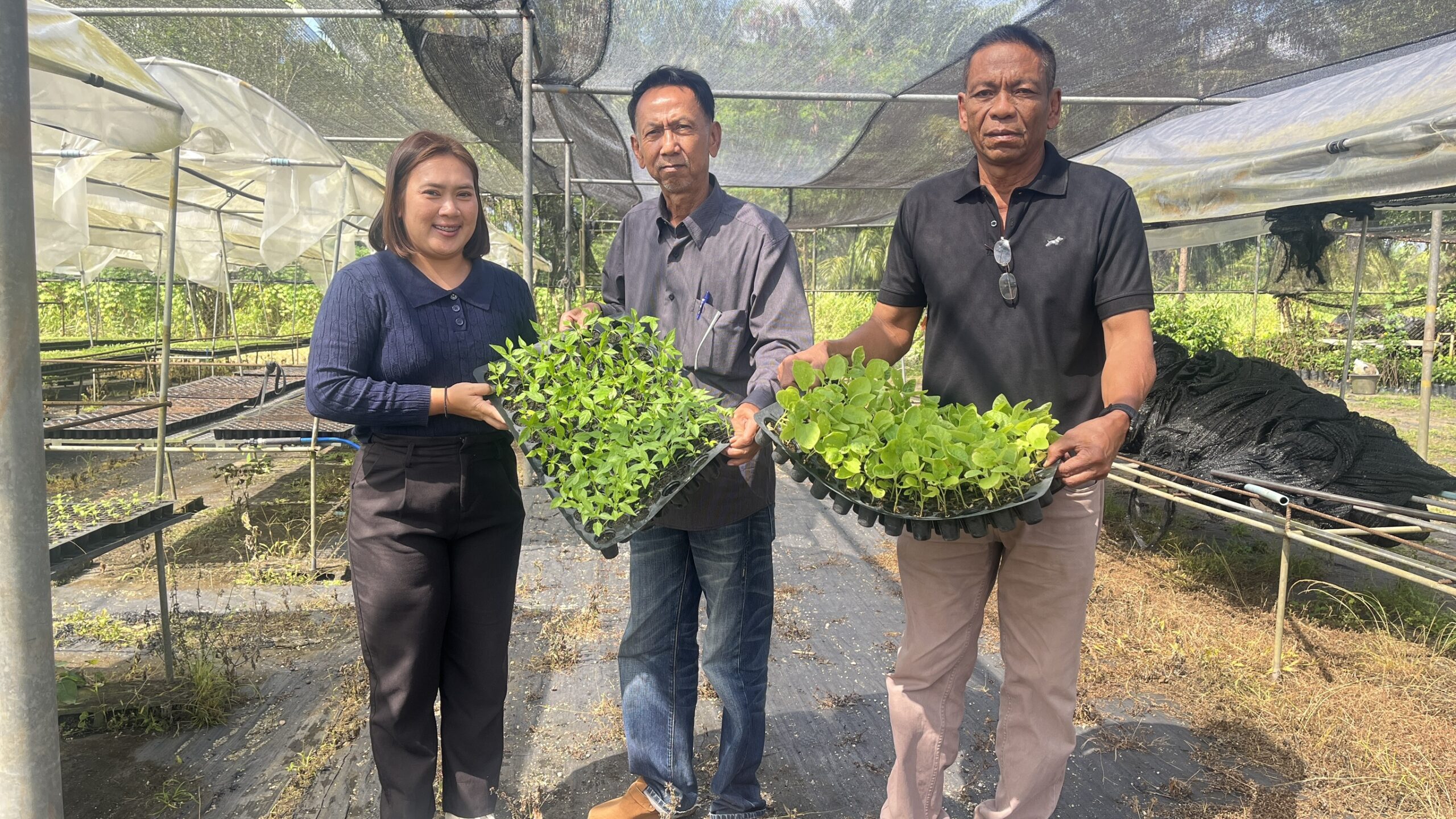 สนับสนุนต้นกล้าผักสวนครัว แก่เกษตรกรตำบลขุนทะเล อำเภอเมือง จังหวัดสุราษฎร์ธานี
