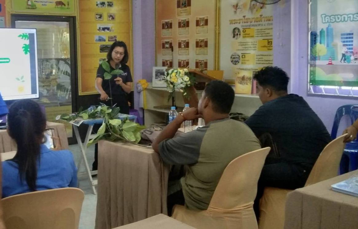 ถ่ายทอดความรู้ในหัวข้อ “เรื่องขยายพันธุ์พืช และฝึกปฏิบัติการขยายพันธุ์พืชด้วยวิธีปักชำแบบควบแน่นในจิงจูฉ่าย” เสริมทักษะความเข้าใจในบทเรียน ศูนย์ส่งเสริมการเรียนรู้ระดับอำเภอพระแสง อ.พระแสง จ.สุราษฎร์ธานี