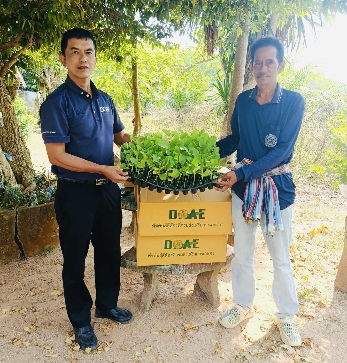 สนับสนุนต้นกล้าผักสวนครัวพันธุ์ดี แก่เกษตรกรต้นแบบ ต.บ้านนา อ.บ้านนาเดิม จ.สุราษฏร์ธานี