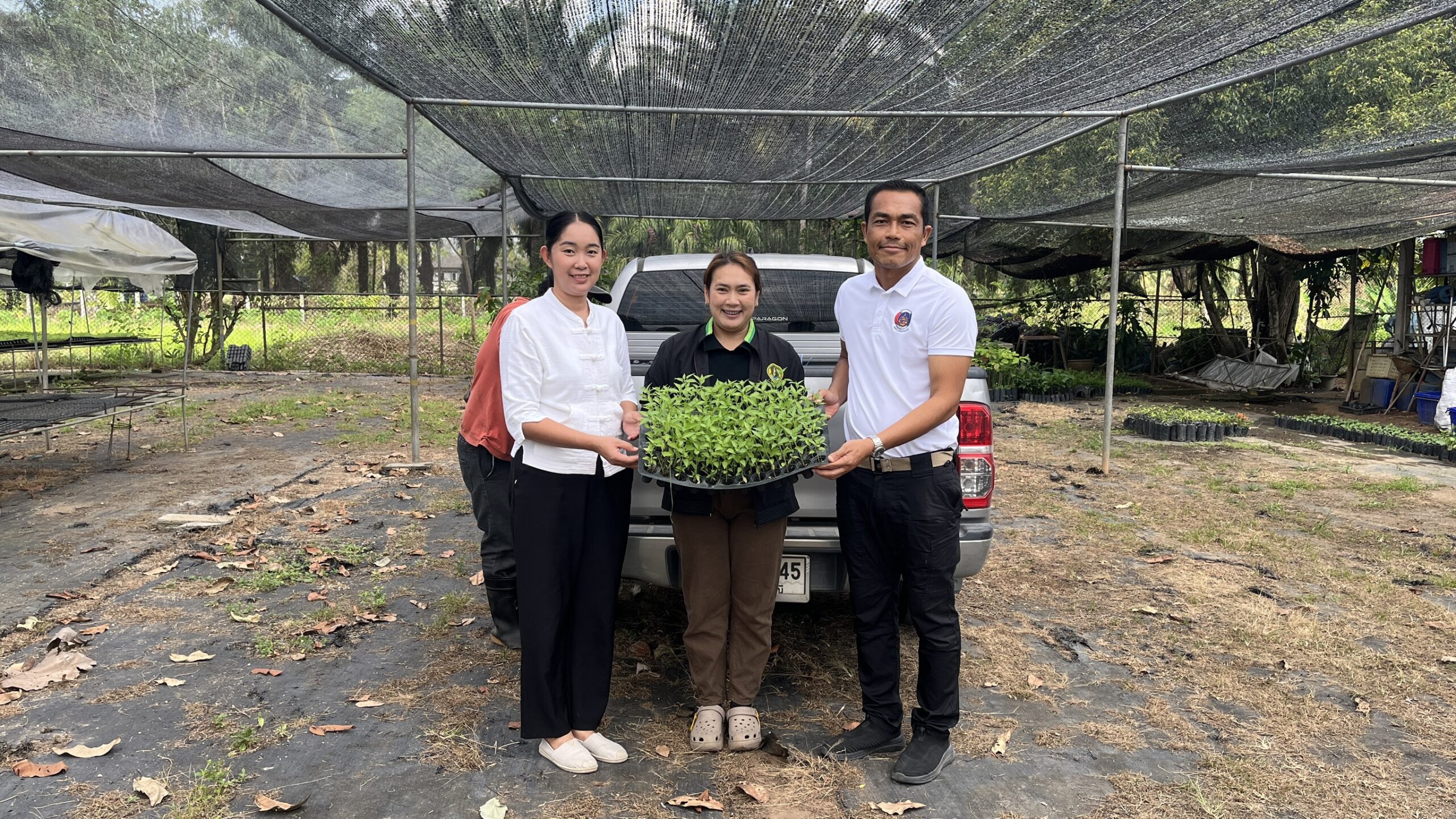 สนับสนุนต้นกล้าผักสวนครัวโครงการขับเคลื่อนหมู่บ้านเศรษฐกิจพอเพียงสู่ความยั่งยืน ในพื้นที่อำเภอบ้านนาสาร ของสำนักงานพัฒนาชุมชนอำเภอบ้านนาสาร