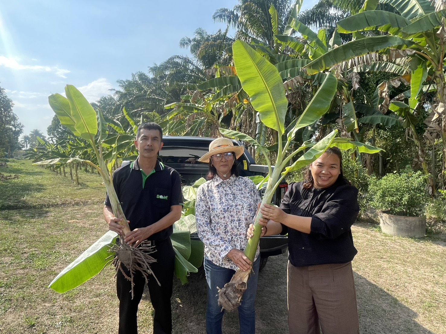 สนับสนุนหน่อกล้วยน้ำว้า และกิ่งพันธุ์ไม้ผล แก่เกษตรกรในพื้นที่ อำเภอบ้านนาเดิม จังหวัดสุราษฎร์ธานี