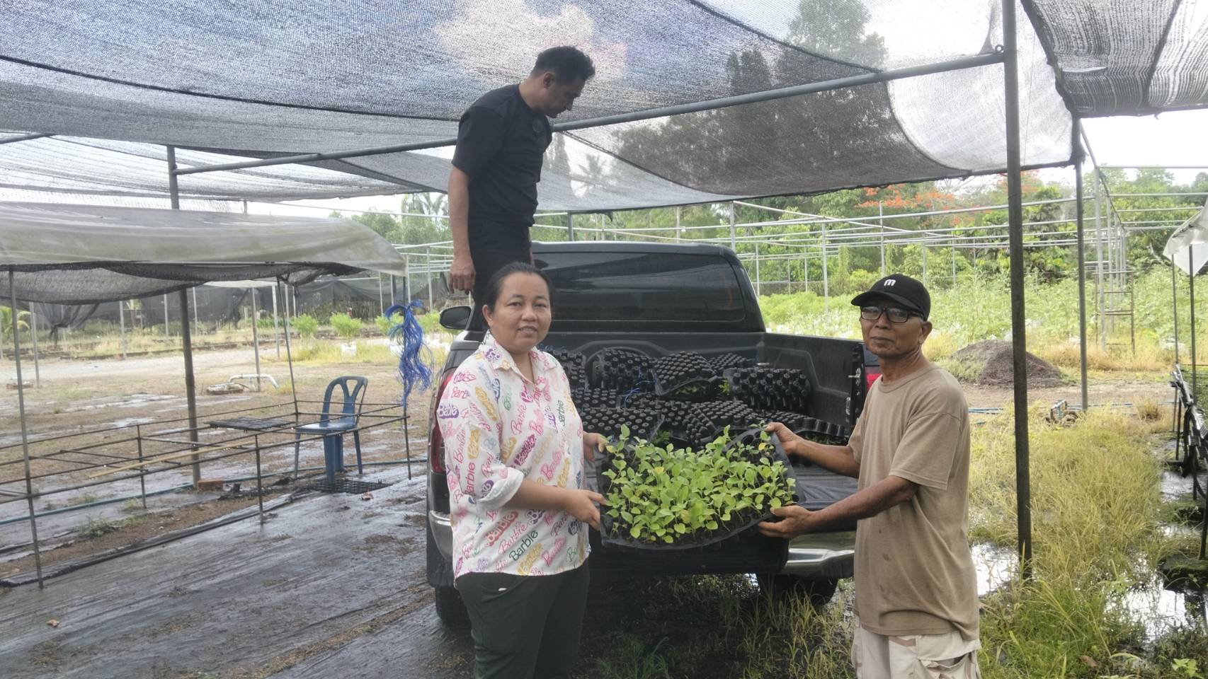 สนับสนุนพันธุ์พืชผักพืชอาหาร ภายใต้โครงการผลิตพืชพันธุ์ดีเพื่อช่วยเหลือเกษตรกรผู้ประสบภัยพิบัติและใช้ในภารกิจกรมส่งเสริมการเกษตร ปี 2568 จังหวัดชุมพร