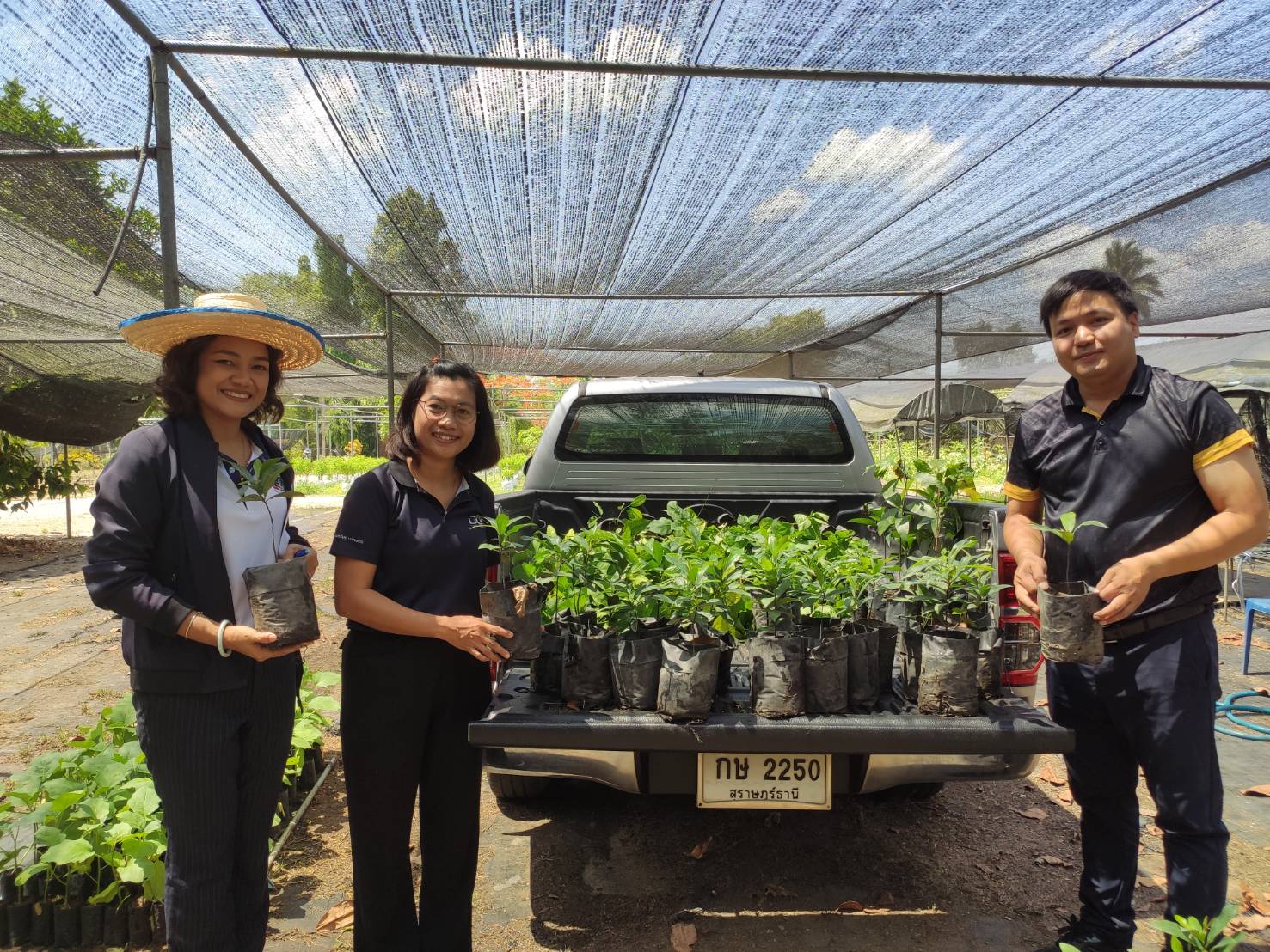 สนับสนุนพันธุ์พืชแก่สำนักงานพัฒนาชุมชนจังหวัดสุราษฎร์ธานี ในการจัดกิจกรรมวันต้นไม้ประจำปีของชาติ พ.ศ.2569