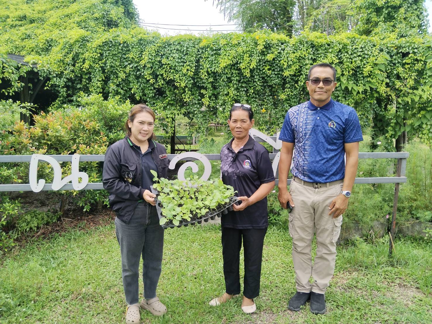 สนับสนุนต้นกล้าผักสวนครัวกิจกรรม สร้างพลังเครือข่ายและขยายผลผู้นำการเปลี่ยนแปลง เพื่อเสริมสร้างและพัฒนาตำบลเข้มแข็งเศรษฐกิจพอเพียง ในพื้นที่อำเภอบ้านนาสาร ของสำนักงานพัฒนาชุมชนอำเภอบ้านนาสาร