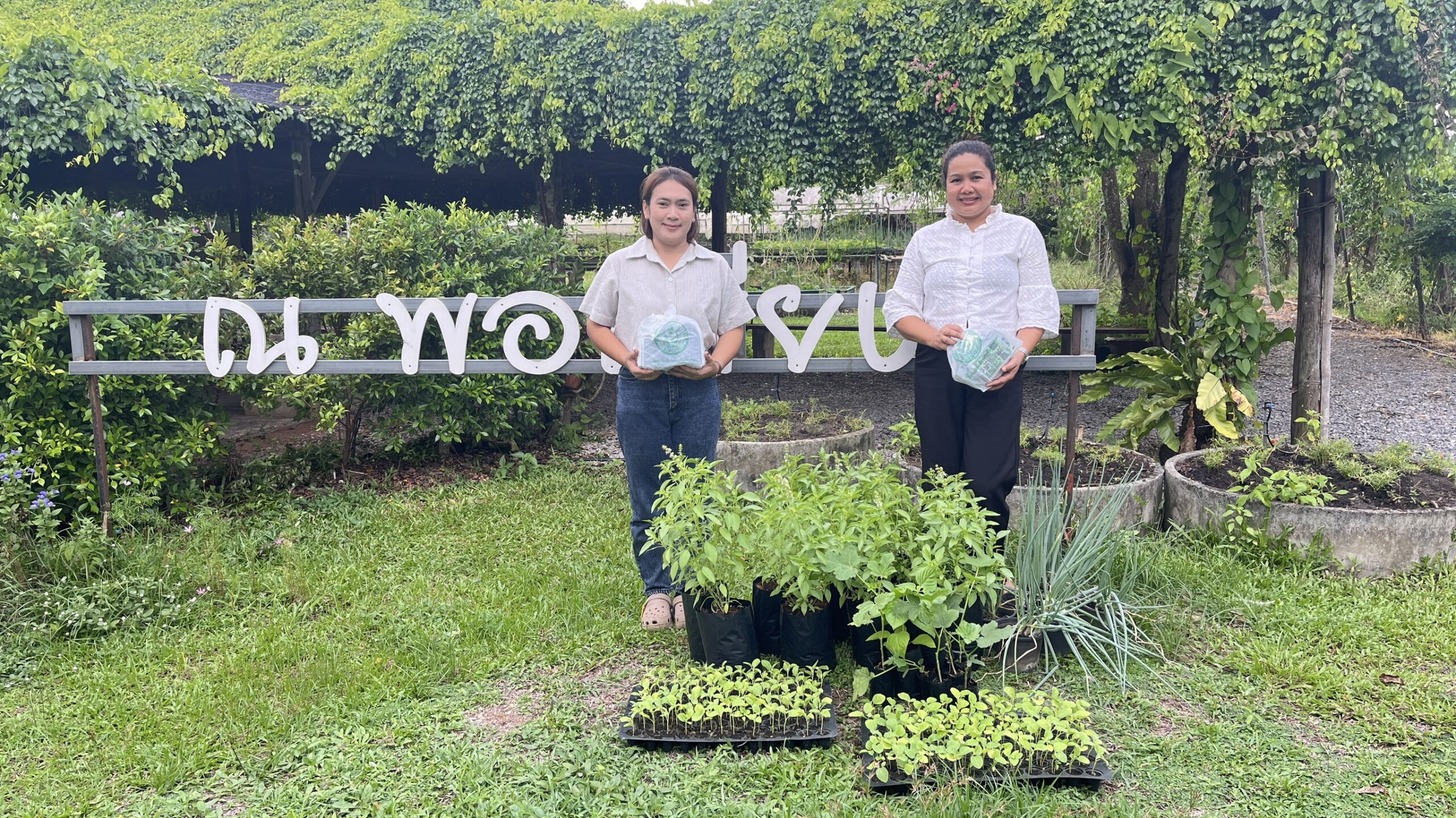 สนับสนุนต้นกล้าผักสวนครัวกิจกรรม ปลูกผักสร้างสุข ปลุกพลังสีเขียว ในพื้นที่อำเภอบ้านนาเดิม ของสำนักงานพัฒนาชุมชนอำเภอบ้านนาเดิม