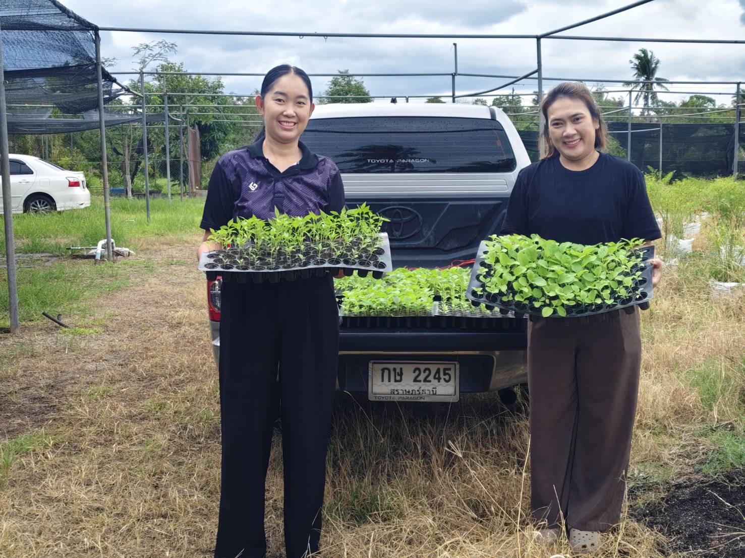 สนับสนุนต้นกล้าผักสวนครัวกิจกรรม เพื่อเสริมสร้างและพัฒนาตำบลเข้มแข็งเศรษฐกิจพอเพียง ในพื้นที่อำเภอบ้านนาสาร ของสำนักงานพัฒนาชุมชนอำเภอบ้านนาสาร