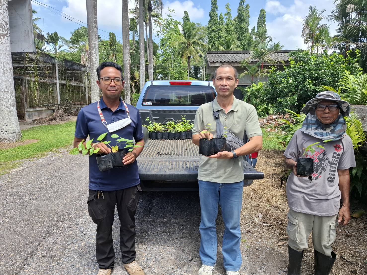 สนับสนุนต้นกล้าพวงชมพูแก่กลุ่มวิสาหกิจชุมชนทำเนียบปาล์ม เพื่อการจัดการศัตรูพืชแบบผสมผสาน