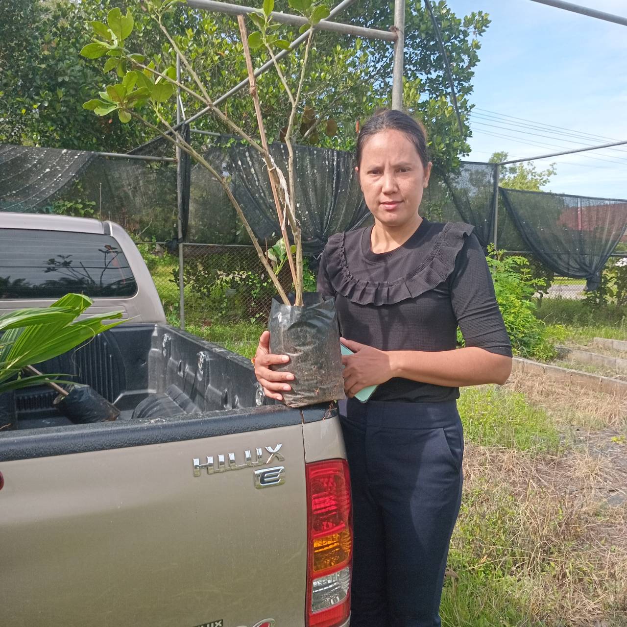 สนับสนุนพันธุ์ไม้ผล แก่เจ้าหน้าที่สำนักงานเกษตรอำเภอเวียงสระ เพื่อใช้ในการออกหน่วยบริการประชาชนเคลื่อนที่ กิจกรรมโครงการจังหวัดเคลื่อนที่