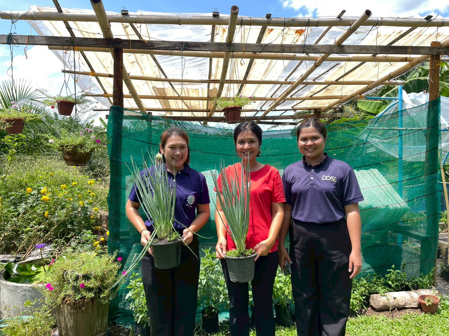ติดตามเกษตรกรในพื้นที่อำเภอท่าฉาง จังหวัดสุราษฎร์ธานี หลักสูตรอบรมเกษตรการปลูกพืชระยะสั้น การปลูกผักไฮโดรโปนิกส์ระบบน้ำนิ่ง