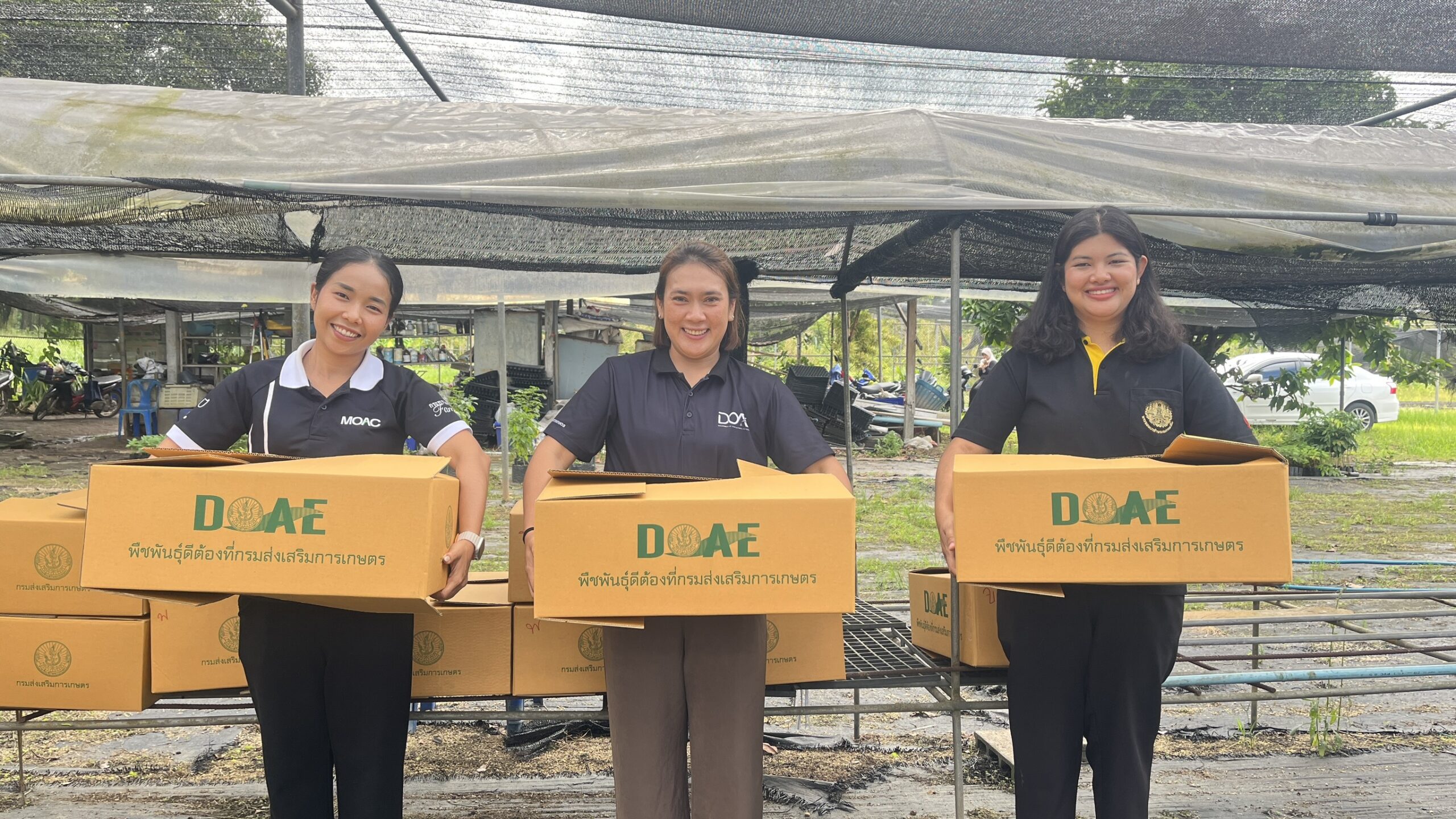 สนับสนุนพันธุ์เมล็ดพันธุ์พืชผัก ภายใต้โครงการผลิตพืชพันธุ์ดีเพื่อช่วยเหลือเกษตรกรผู้ประสบภัยพิบัติและใช้ในภารกิจกรมส่งเสริมการเกษตร ปี 2568 จังหวัดสุราษฎร์ธานี
