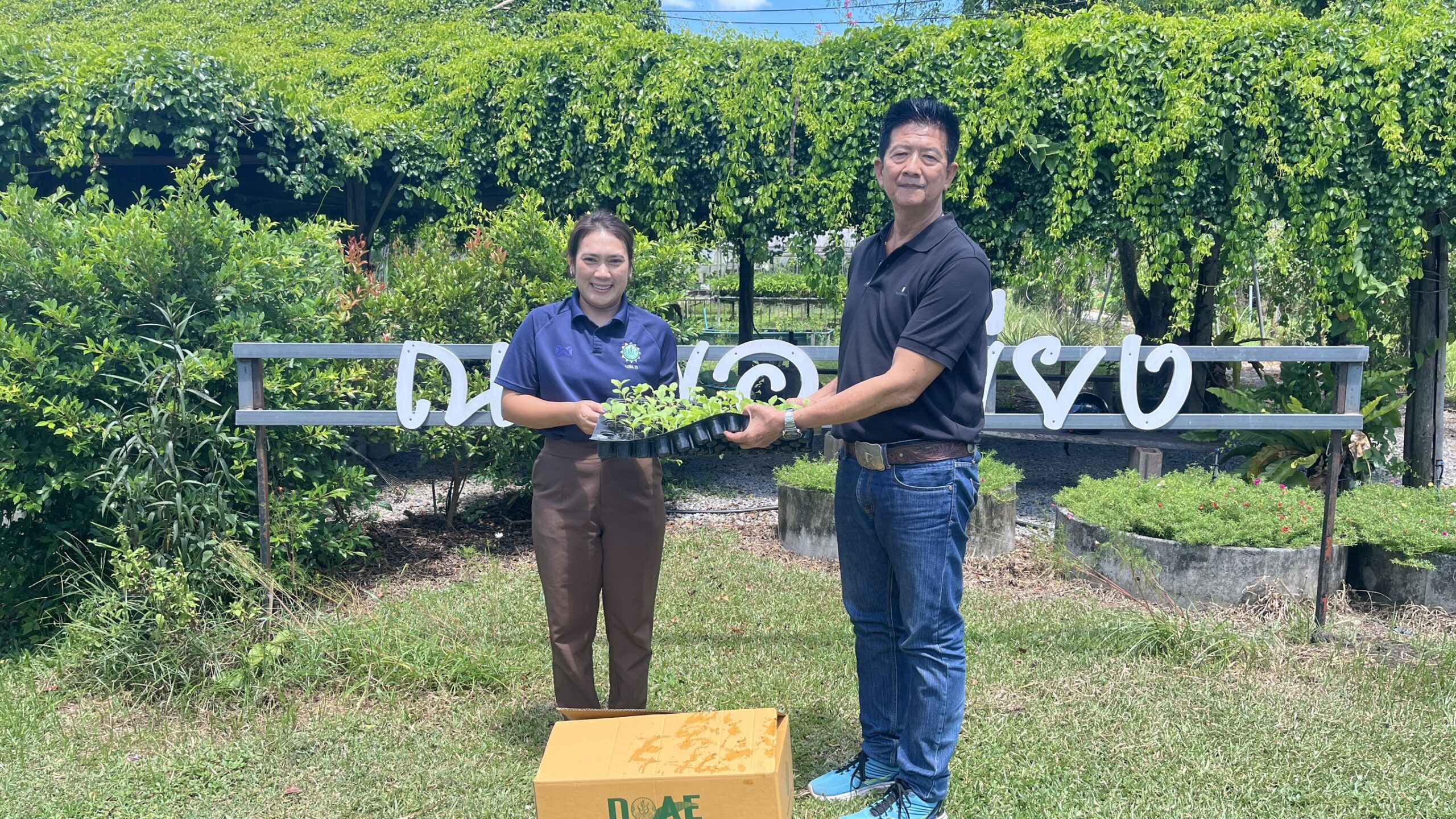 สนับสนุนพันธุ์เมล็ดพันธุ์พืชผัก ภายใต้โครงการผลิตพืชพันธุ์ดีเพื่อช่วยเหลือเกษตรกรผู้ประสบภัยพิบัติและใช้ในภารกิจกรมส่งเสริมการเกษตร ปี 2568 จังหวัดสุราษฎร์ธานี