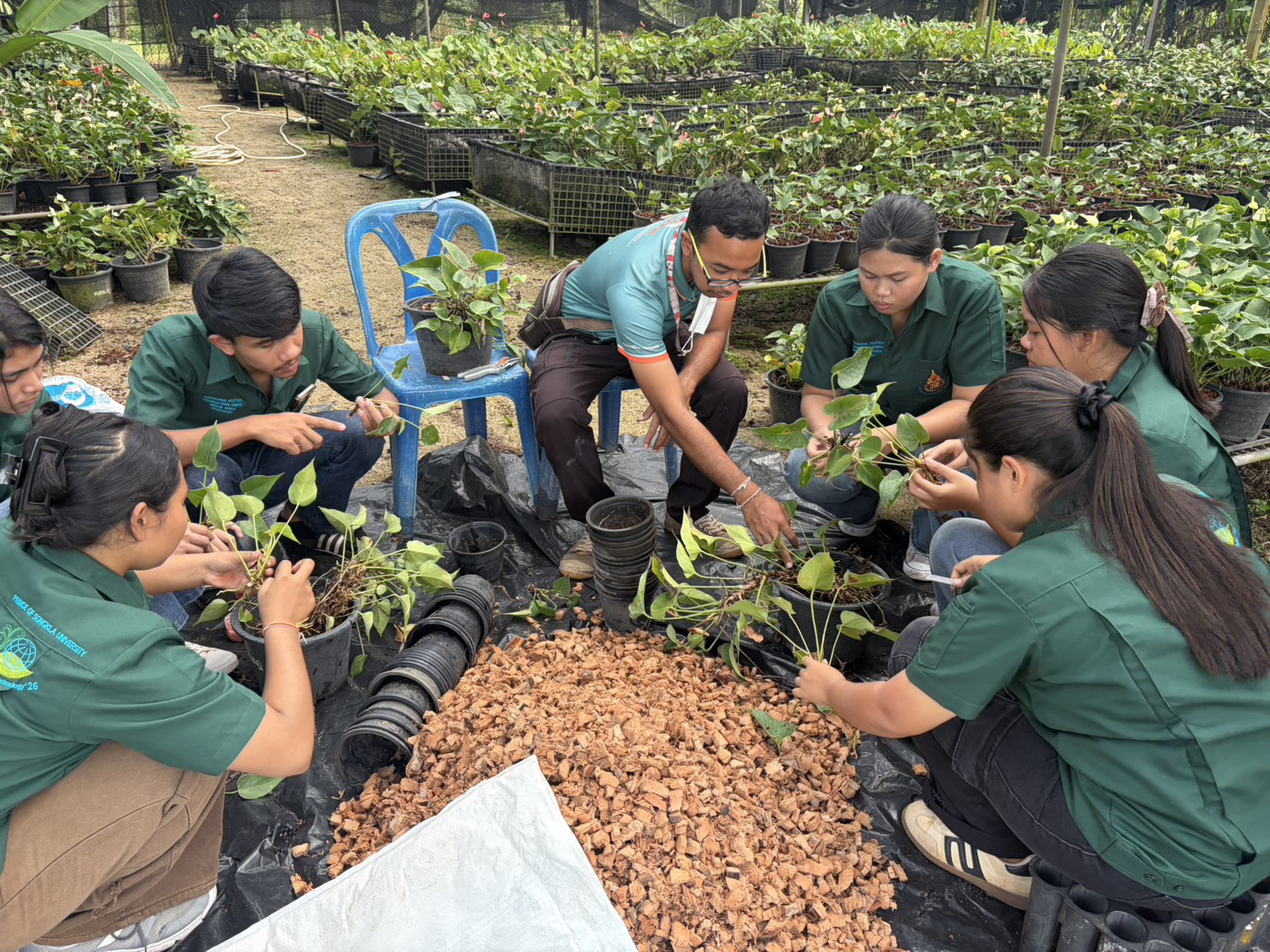 ต้อนรับคณะอาจารย์และนักศึกษาหลักสูตรวิทยาศาสตรบัณฑิต สาขาวิชาวิทยาศาสตร์และเทคโนโลยีการเกษตร เรียนรู้และฝึกประสบการณ์ด้านการขยายพันธุ์พืชไม้ดอกไม้ประดับเชิงปฏิบัติการ