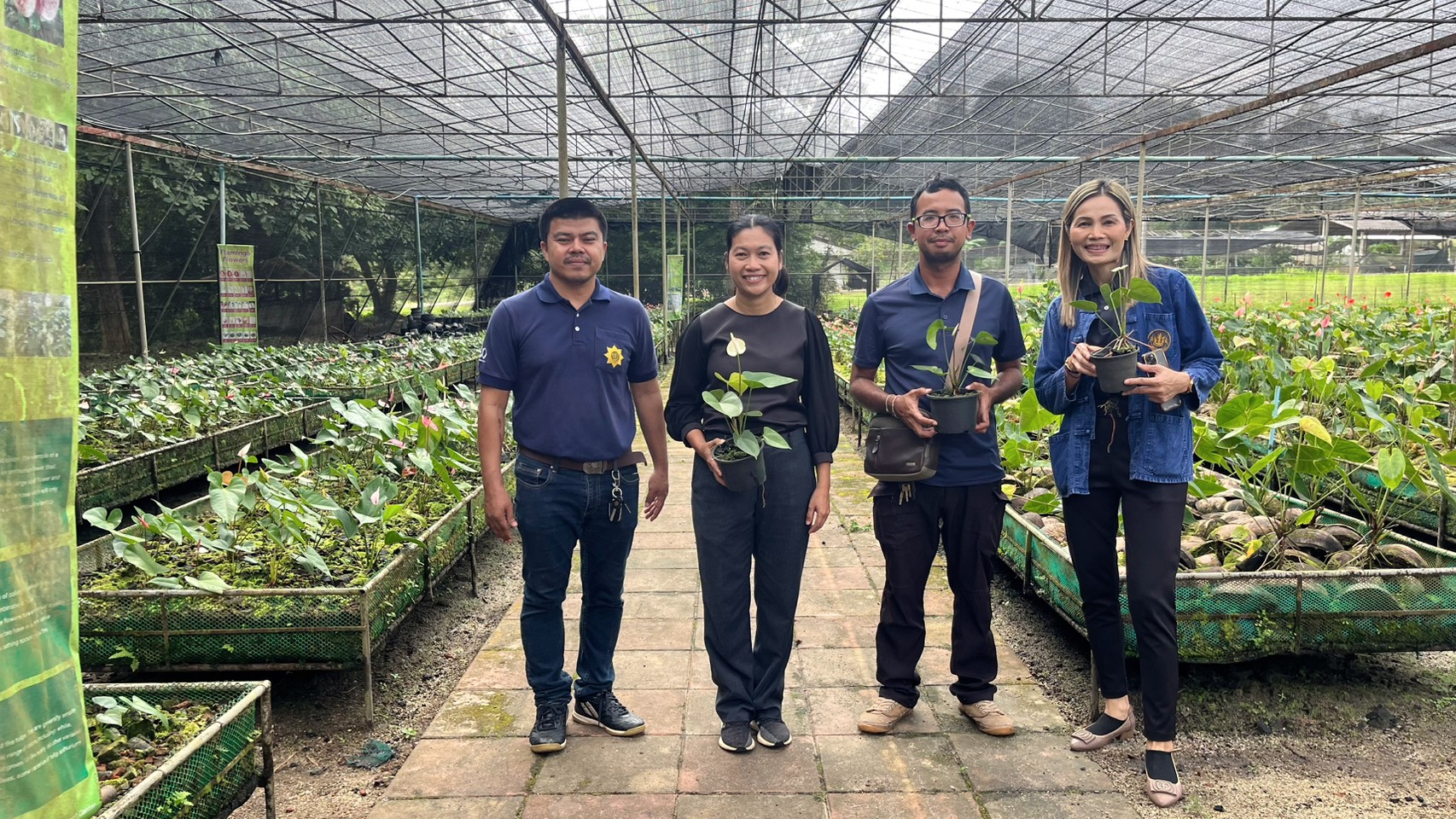 ร่วมแลกเปลี่ยนเรียนรู้งานพัสดุ และงานไม้ดอกไม้ประดับ ของ ศูนย์ส่งเสริมและพัฒนาอาชีพการเกษตรจังหวัดกระบี่
