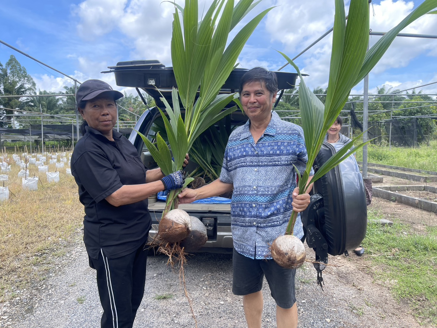 สนับสนุนพันธุ์มะพร้าวน้ำหอม ให้แก่เกษตรกรในพื้นที่อำเภอเมือง จังหวัดสุราษฎร์ธานี