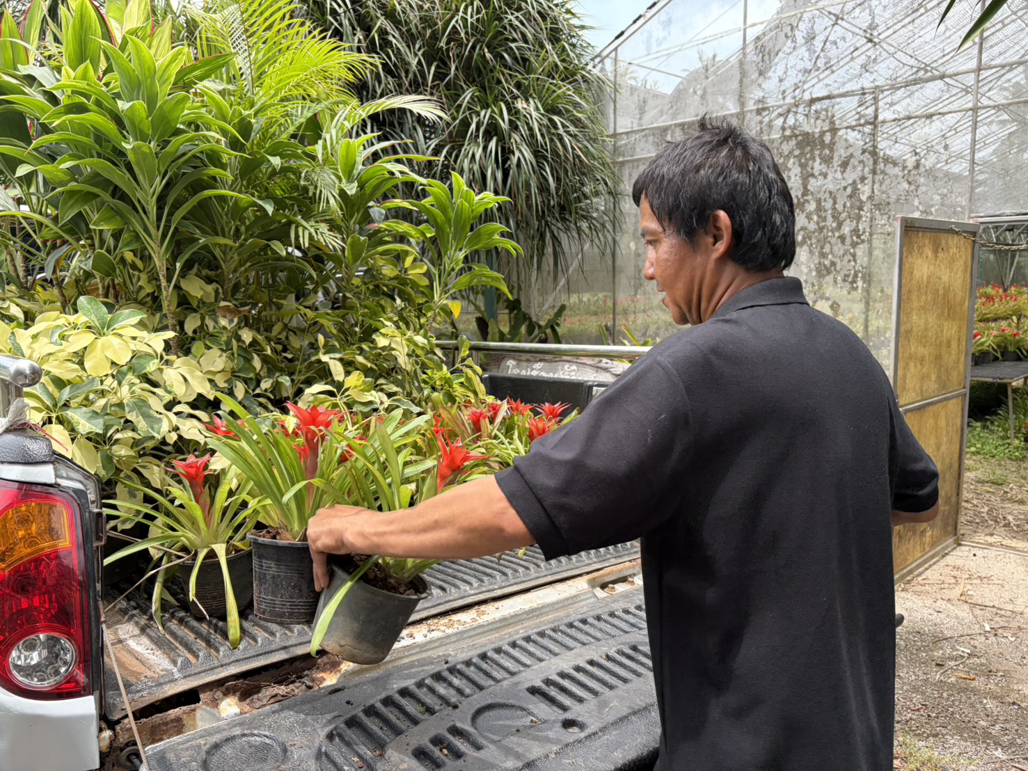 บริการให้ยืมไม้กระถาง แก่สำนักงานเกษตรอำเภอเมือง จังหวัดสุราษฎร์ธานี