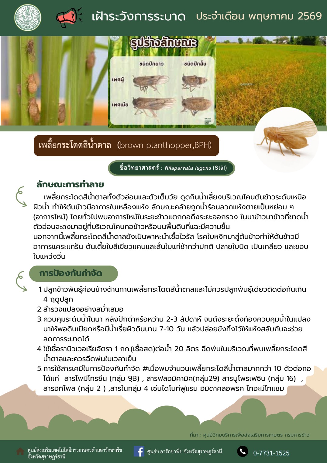 ข่าวเตือนภัย และเฝ้าระวังการระบาดศัตรูพืช
