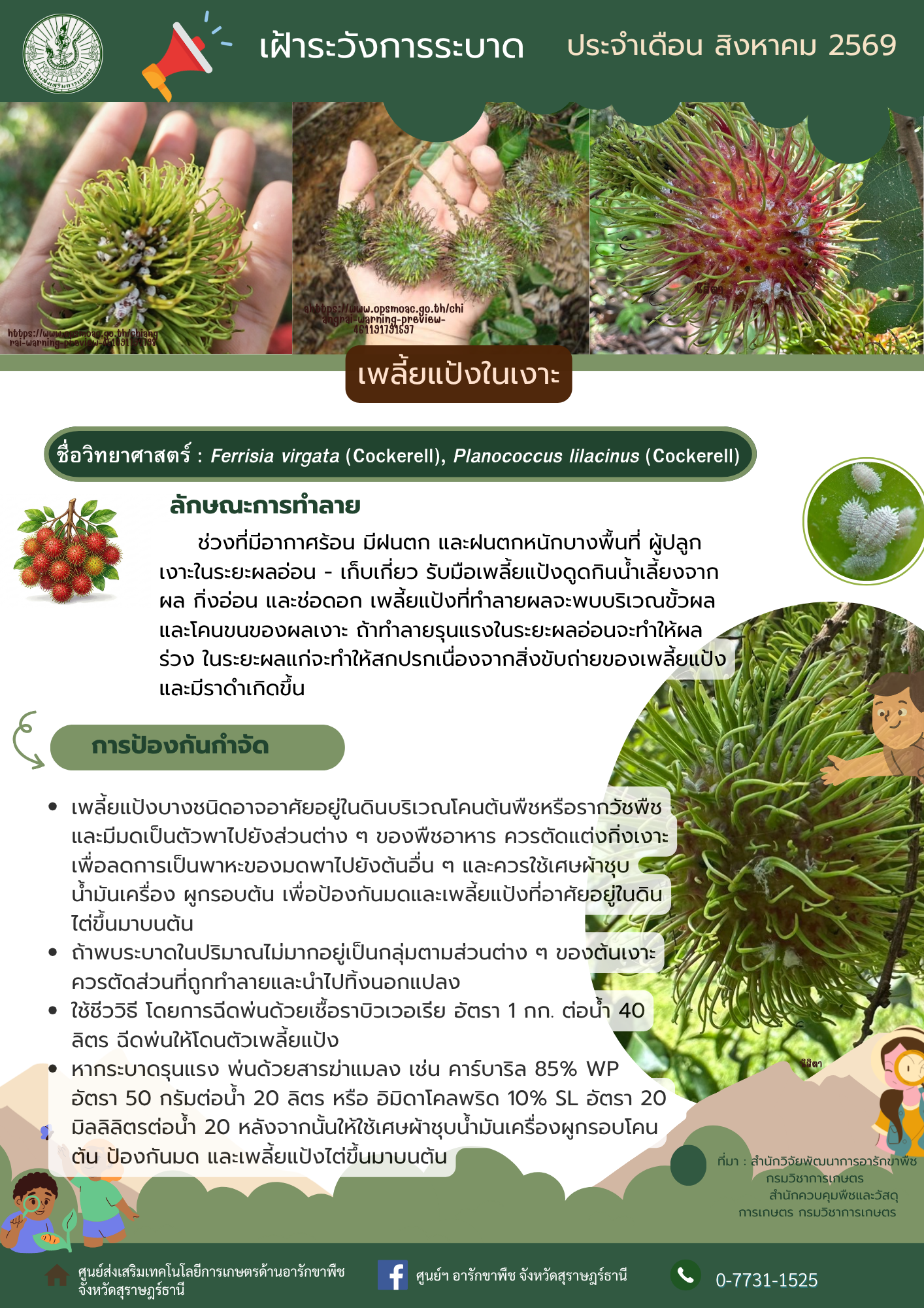 ข่าวเฝ้าระวังการระบาด